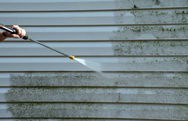 Best Roof Pressure Washing  in Aurora, TX